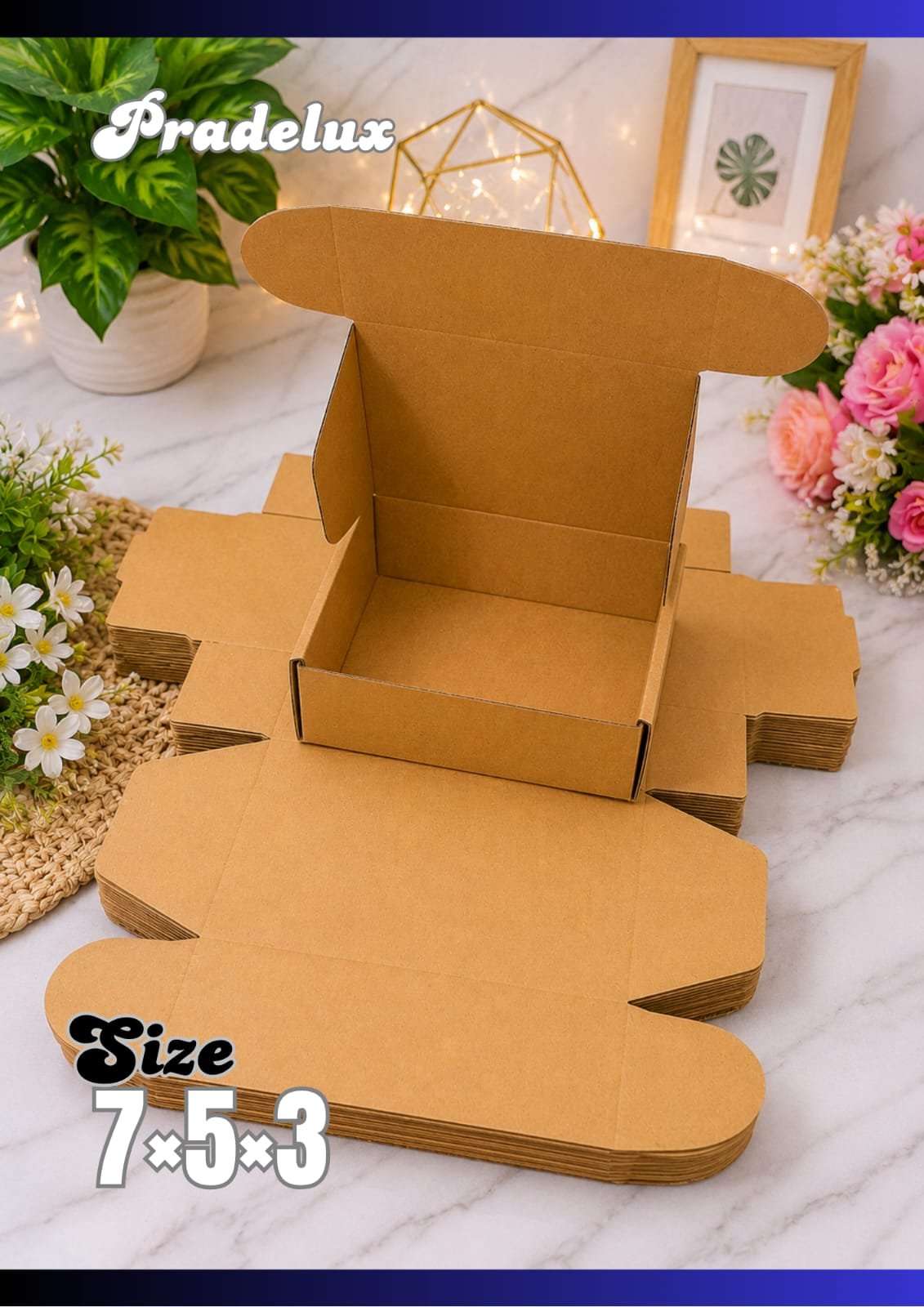 box 6
